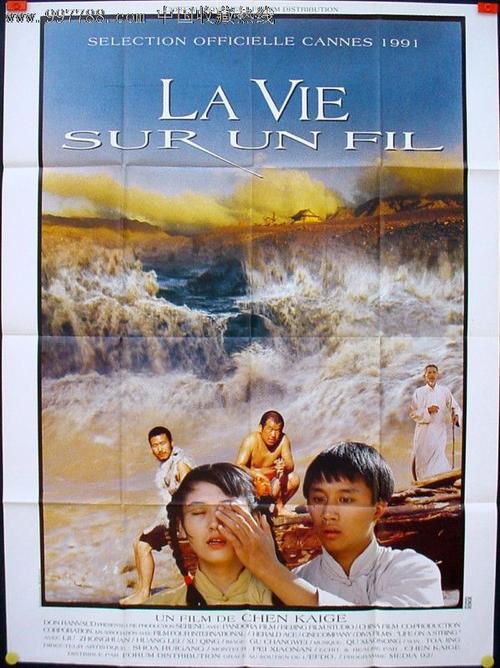 办假的婚姻状况证明多少钱